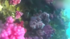 少女时代,俞利(少女时代) - 俞利更新一则