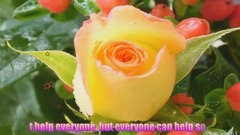 音乐短片 - GOOD MORNING video -Whatsapp