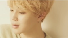防弹少年团,JIMIN(防弹少年团) - BTS LOVE YOURSELF 承 Her 'Serendipity' Comeback Trailer 17/09/05 [WNS中字]