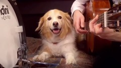 音乐短片 - Boulevard of Broken Dreams