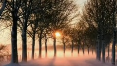 音乐短片 - 夏之雪(Summer Snow)