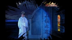 华语群星 - 见坟化蝶