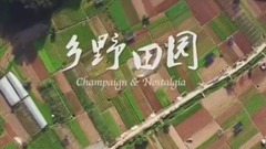 风景,音乐短片,轻音乐,乐动城市 - 最美厦门 乡野田园