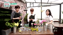 THE BOYZ - [Unreleased Ep.2]THE BOYZ 'Flower Snack'
