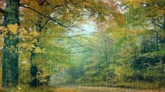 龙飘飘,音乐短片 - 秋雨