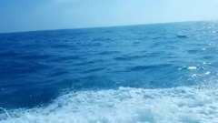 音乐短片 - 阳光小梦