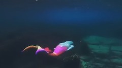 音乐短片 - 金发美女潜游海底戏水 婀娜多姿秀柔软腰身撩人