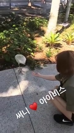少女时代,孝渊(少女时代),Sunny(少女时代) - Sunny&孝淵在公園餵食鳥 @IG Story 17/09/07