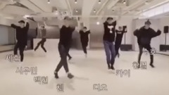 EXO - Power 练习室版 2倍速