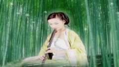 华语群星 - 梨花颂