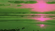 Exavia - Baila Toda la Noche (Let's Dance All Night) [Fashion Beat Team Remix] (Lyric Video)