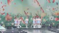 宇宙少女 - I Wish 彩排