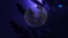 音乐短片 - Walk With Me