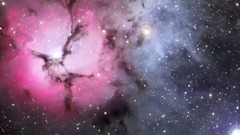 New - Dance Of The Moon And Stars