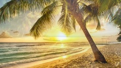 音乐短片 - Buddha