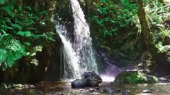 风景,音乐短片,轻音乐,乐动城市 - 森林中的瀑布 自然之声