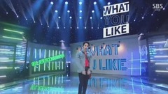 李起光 - What You Like