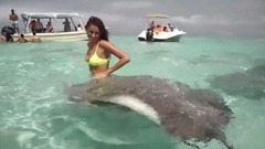 音乐短片 - C罗前女友与鲨鱼共舞 性感身姿引鱼儿亲吻