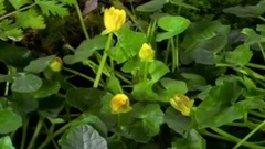 音乐短片 - 红尘情歌大串烧