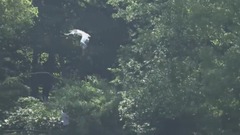 音乐短片 - 舞动的音符