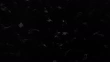 Natalia Lafourcade - Hasta la Raíz