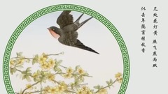 音乐短片 - 弄戏