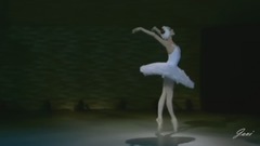 音乐短片 - 芭蕾舞《圣桑 天鹅》