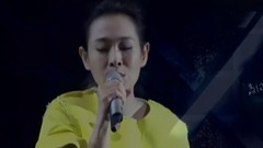 刘若英 - 2017我敢演唱会组曲节选
