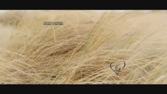 音乐短片 - PRINCESS OF THE NIGHT - Richard Clayderman