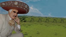 Vicente Fernández - No Vuelvas por Favor (Cover Audio)