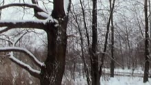 Wie weiss ich, dass es Liebe ist (ZDF Drehscheibe 27.01.1971) (VOD)