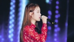 IU - 你的意思