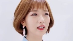 Apink - Apink Mini Diary
