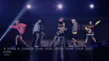 iKON - Dumb & Dumber