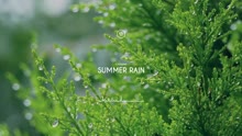 GFriend - GFriend - Summer Rain 钢琴版