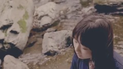 日本群星 - Tree,stone