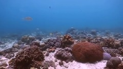 音乐短片 - Follow You