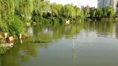 音乐短片 - 初秋