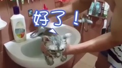 萌宠 - 喵星人偷学人讲话!