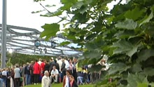 Michael Wendler - Nicht mehr in diesem Leben (ZDF Fernsehgarten 15.7.2001) (VOD)