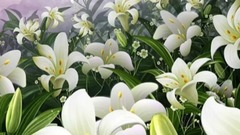 音乐短片 - 想和你一起慢慢变老