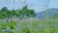 韩国群星 - 天上的花园