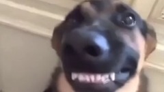 音乐短片 - 国外爆笑Vine 短片合集 70