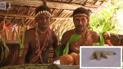 音乐短片 - Tribes React To Polar Bears