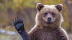 音乐短片 - Top 8 Cele Mai Uimitoare Si Scumpe Case Din Lume