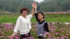 音乐短片 - 花的海洋