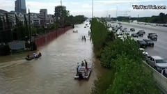 音乐短片 - We Finally Know What This Hurricane Harvey Sea Creature Actually Is