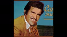 Vicente Fernández - Paloma Errante (Cover Audio)