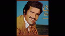 Vicente Fernández - El Cuadro (Cover Audio)
