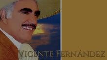 Vicente Fernández - No Creo Que Tú (Cover Audio)